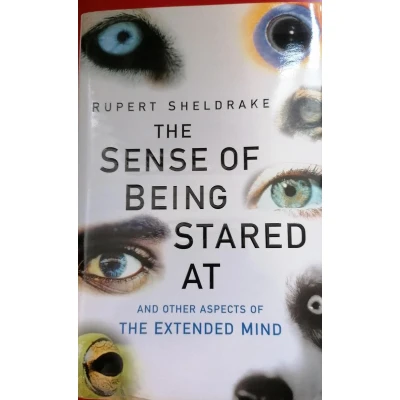 Afbeelding van The Sense of Being Stared at