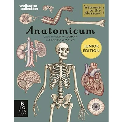 Afbeelding van Anatomicum Junior