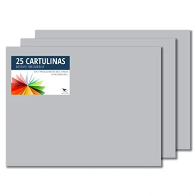 Afbeelding van Raylu Paper® Doos 50 x 65 cm, 25 stuks, 180 g/m², karton ideaal voor knutselen, kantoor, tekenen, papyroflexia (lichtgrijs)