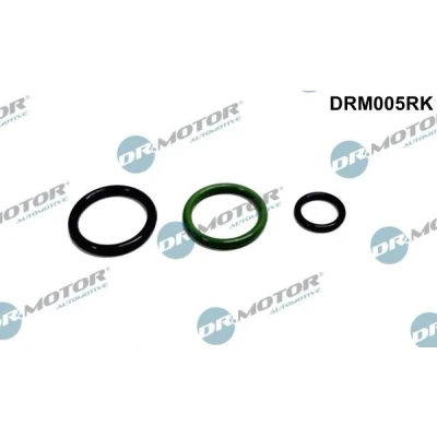 Afbeelding van Reparatieset, pomp verstuiver eenheid Dr.Motor Automotive DRM005RK