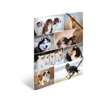 Image de HERMA Chemises à élastique Animaux avec motif Chiens, A3, carton robuste, impression intérieure, 1 porteé de chemise