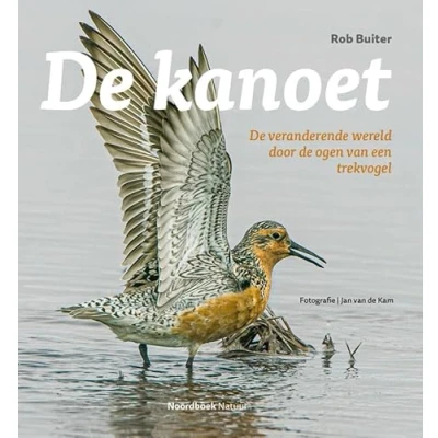 Afbeelding van De kanoet