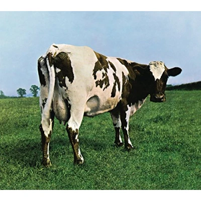 Afbeelding van Atom Heart Mother