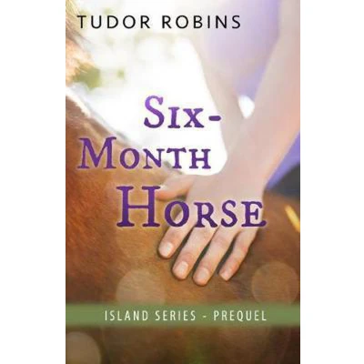 Afbeelding van Island Six Month Horse