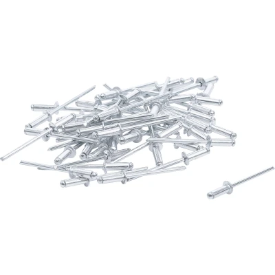 Afbeelding van BGS Popnagel assortiment Ø 3,2 mm, 50 delig