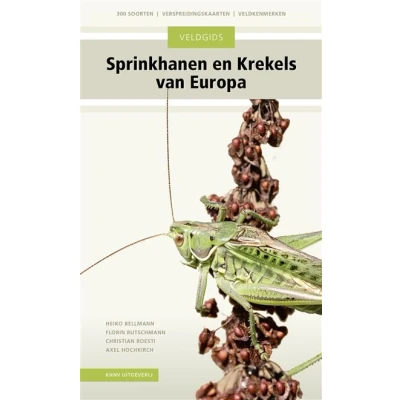 Image de de sprinkhanen en krekels van West , Midden Noord Europa belangrijkste soorten Zuid