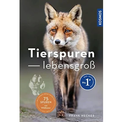 Afbeelding van Tierspuren lebensgroß