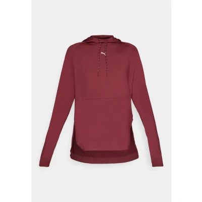 Afbeelding van Puma Modest Hoodie Longsleeve, Dames, Maat: Medium, Ruby shimmer