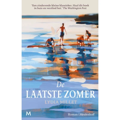 Afbeelding van De laatste zomer
