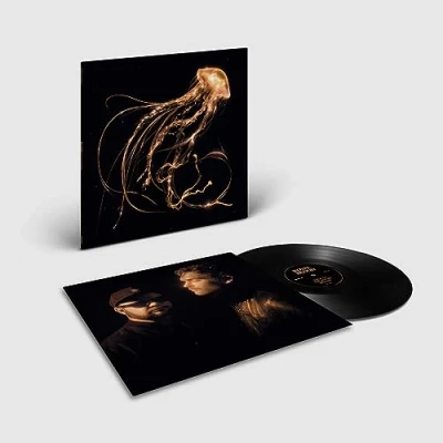 Afbeelding van Royal Blood Back To the Water Below (LP)