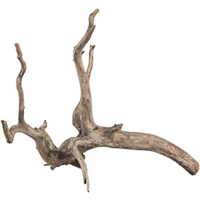 Afbeelding van Sera Filigrane wortel Scaper Root XS 18 20 cm