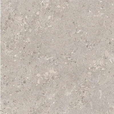 Afbeelding van Omnia Devix Greige 60x120x2 cm