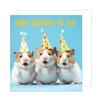 Afbeelding van Edition Seidel Hoogwaardige vierkante verjaardagskaart met envelop, Happy Birthday wenskaart voor mannen, vrouwen, tieners, kinderen, hamster, zanger, humor party (GQ123 SW024)