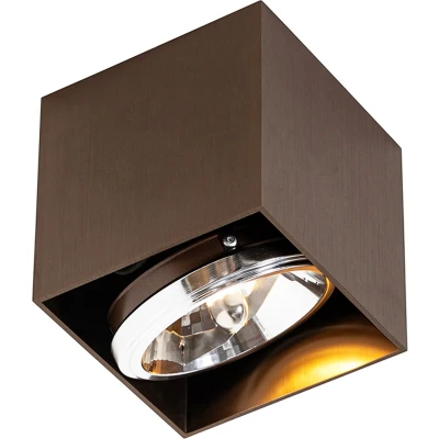 Afbeelding van QAZQA Design spot donkerbrons vierkant draai en kantelbaar Box