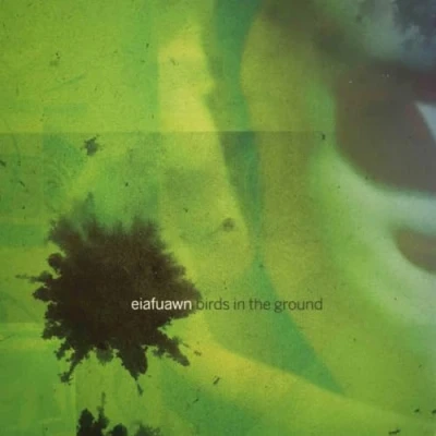 Afbeelding van Eiafuawn Birds In the Ground (LP)