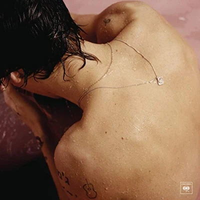 Afbeelding van Harry Styles (LP)