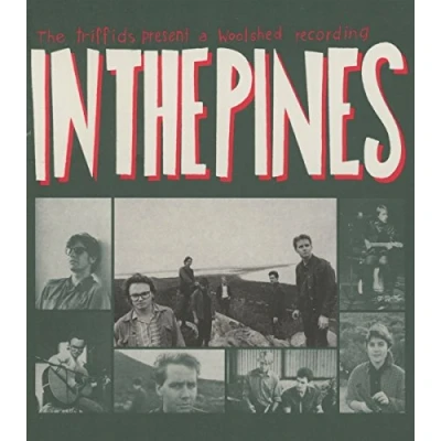 Afbeelding van The Triffids In Pines (CD)