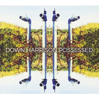 Afbeelding van Down Harrison Possessed (CD)