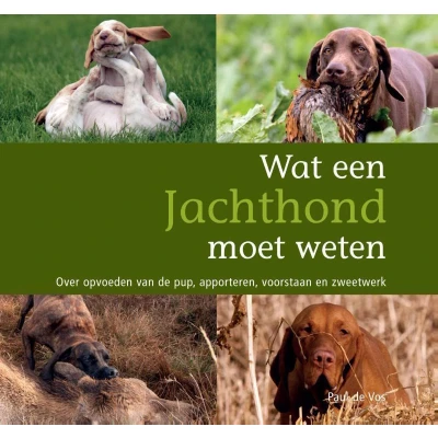 Afbeelding van Wat een jachthond moet weten