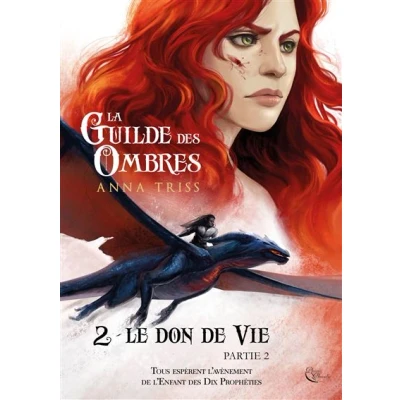 Image de La Guilde des Ombres T2P2