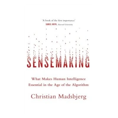 Image de Sensemaking