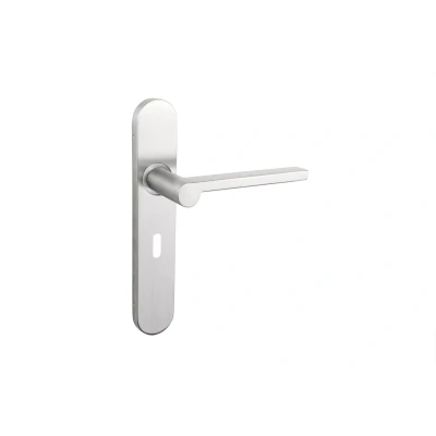 Afbeelding van Lavuzo deurkruk Caserta RVS met afgerond schild SL56 Per set Deurklink