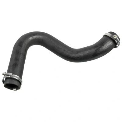 Afbeelding van FEBI BILSTEIN 175705 Laadluchtslang 58 CR (chloropreenrubber) Met bellen FORD: Focus 2, 2 Kombi, Limousine