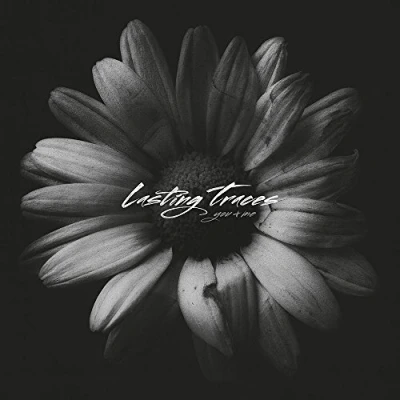 Afbeelding van Lasting Traces You &amp; Me (LP)