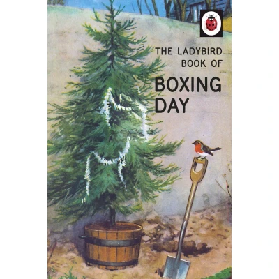 Afbeelding van The Ladybird Book of Boxing Day