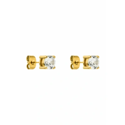 Afbeelding van Purelei® Pristine oorbellen Tijdloze met 6 mm zirkonia in goud, zilver en roségoud, Roestvrij staal, Abalone