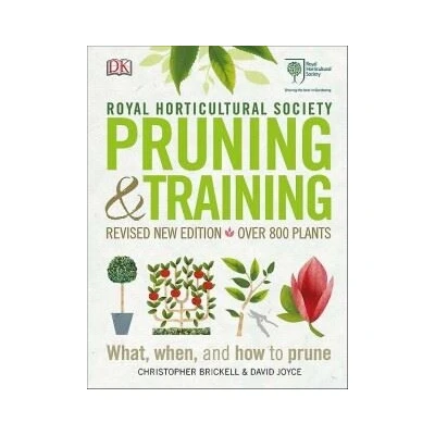 Image de RHS Pruning &amp; Training
