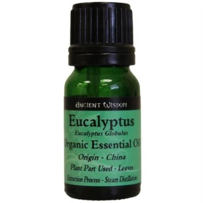 Image de Huile Essentielle Bio Eucalyptus 10 Ml