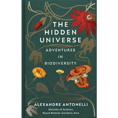 Afbeelding van The Hidden Universe