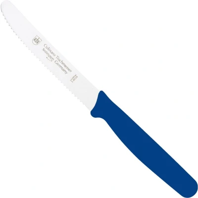 Afbeelding van RÖR Solingen Tafelmes Culinaro RVS Lemmet 11 cm Kunststof Heft Blauw