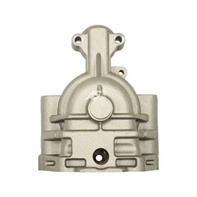 Afbeelding van Startmotordeksel, carburateur AS PL SBR9009