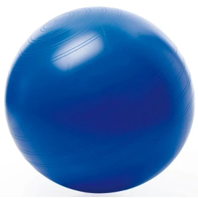 Afbeelding van Togu zitbal ABS 45 cm fitbal Zit