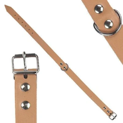 Afbeelding van Goedkope hondenhalsband leer 10mm taupe
