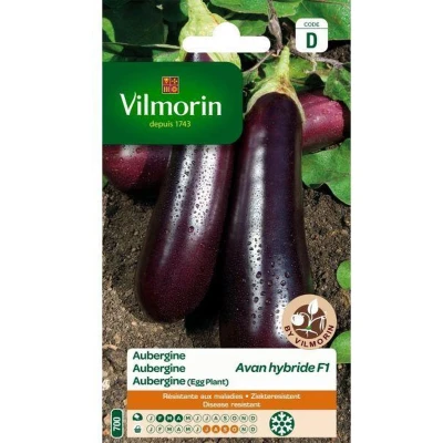 Afbeelding van Aubergine Avan HF1
