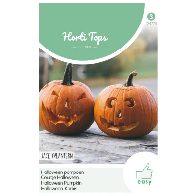 Afbeelding van Pompoen Jack O Latern Cucurbita Pepo Hortitops