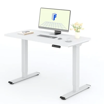 Afbeelding van FLEXISPOT 2 motoren, staand, 120 x 60 cm, eendelig, elektrisch stabureau met paneel geheugenfuncties, in hoogte verstelbaar bureau, belasting 100 kg, wit +