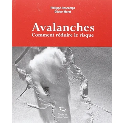 Afbeelding van Avalanches nouvelle approche du risque