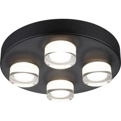 Afbeelding van Paulmann, Wandlamp + plafondlamp, Badleuchte Kame (2480 lm)