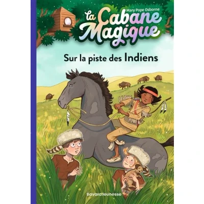 Image de La cabane magique, Tome 17