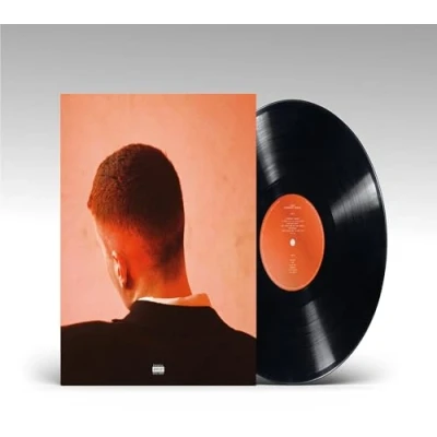 Afbeelding van Joesef Permanent Damage (LP)