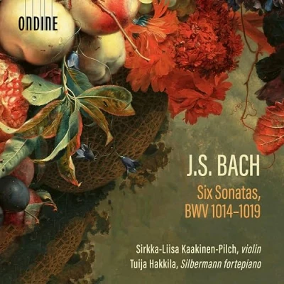 Afbeelding van Sirkka Liisa Kaakinen Pilch, Tuija Hakkila J.S. Bach: Six Sonatas, Bwv 1014 1019 (2 CD)