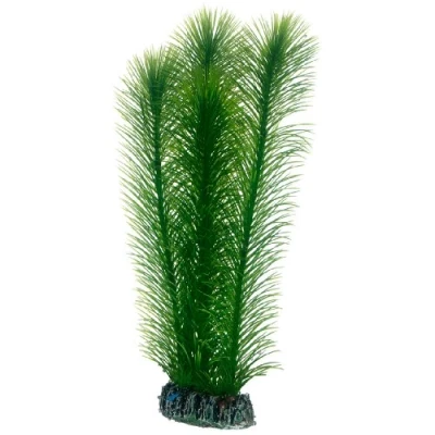 Afbeelding van Hobby Plant Mayaca 25CM