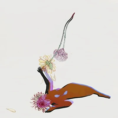 Afbeelding van Future Islands: The Far Field [CD]