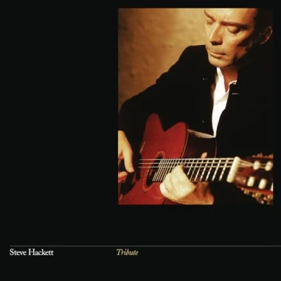 Afbeelding van Steve Hackett Tribute (Vinyl Re Issue 2024) (LP)
