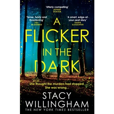 Afbeelding van A Flicker in the Dark