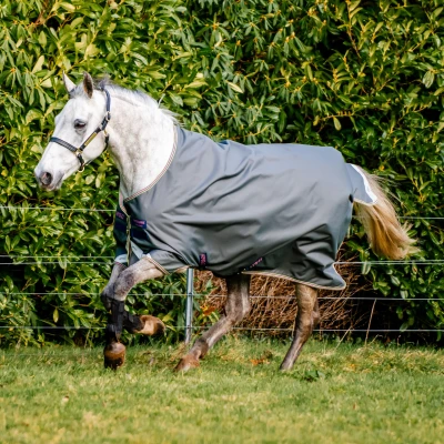 Image de Amigo Chemise Turnout Lite Bravo 12 0g Shadow/Navy/Rose 140/191